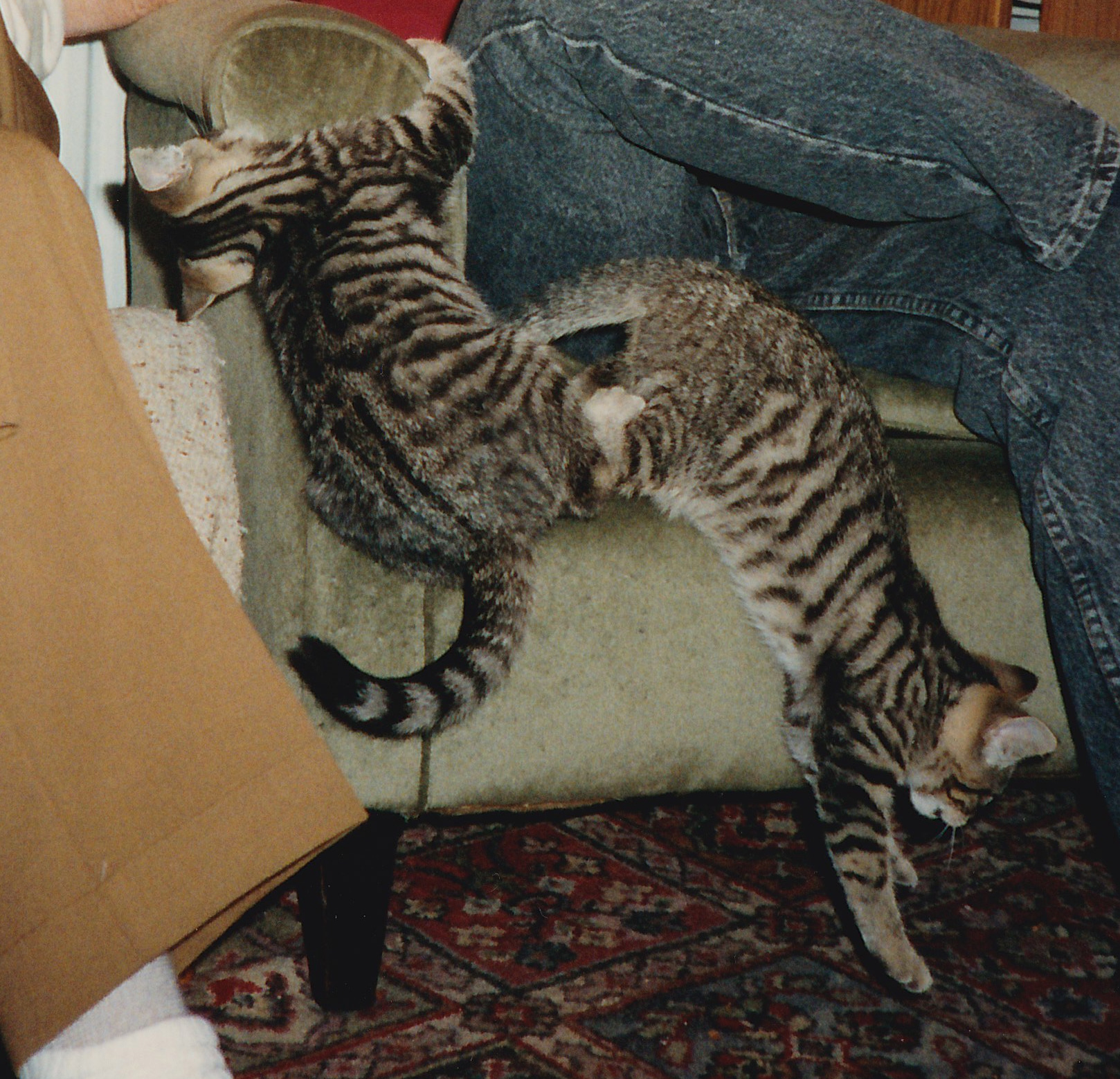Bumble and Tigger